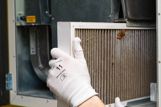 Best Home Air Vent Cleaning  in Boone, IA